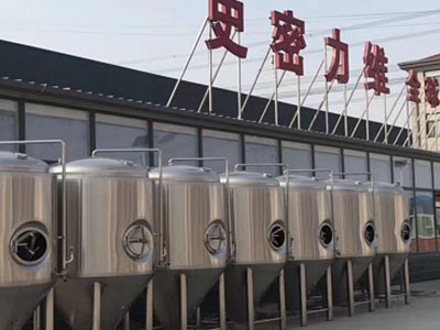 延边朝鲜族精酿啤酒设备厂—市场规模与跨界新需求